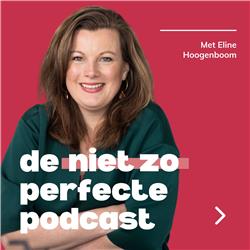 De niet zo perfecte podcast 