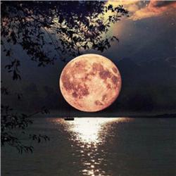 ‘Maanifesteren!’ Leer manifesteren met de maan! 