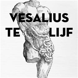 Trailer — Vesalius te lijf
