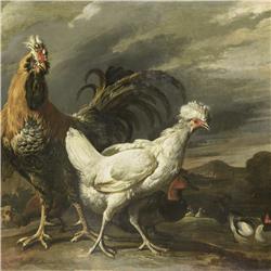 Aflevering 28: Varkens, kippen & veevoer
