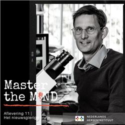 Het nieuwsgierige brein | Alexander Heimel