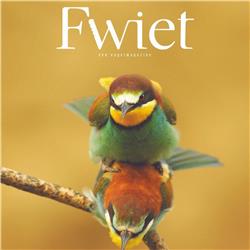 Fwiet! Fwiet! 55 Vogelmagazine 5: Sex met Jeroen Denaeghel