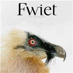Fwiet! Fwiet! 57 met Jeroen Denaeghel over FWIET vogelmagazine 6