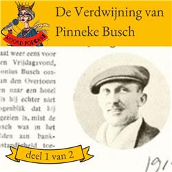 De Verdwijning van Pinneke Busch - deel 1 van 2