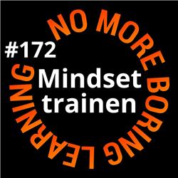 172. Voorkom de Bermuda Driehoek: hoe bouw je een Mindset training?