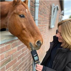 Paardencoach Dorris Vlas over non-verbale communicatie