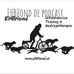 EHBHond de podcast: Aflevering 6 Het gesprek met Sacha Gaus