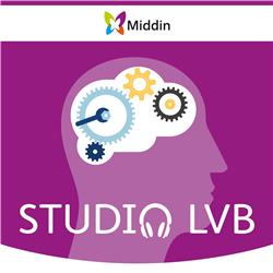 Studio LVB - Door Middin