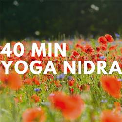 Yoga Nidra | Balans | Magic Dream Company