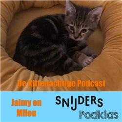 Aflevering 9, de Kittenachtige Podcast