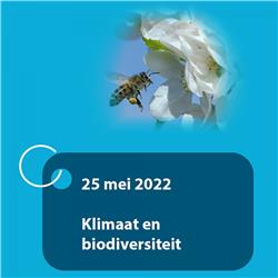 Online Talkshow Klimaat en biodiversiteit