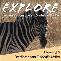 #06 Explore - De dieren van Zuidelijk Afrika