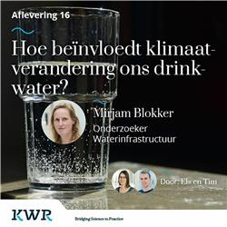 Aflevering 16 - Hoe beïnvloedt klimaatverandering ons drinkwater? Met Mirjam Blokker
