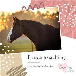 #13 Paardencoaching met Nathalie Goede. 