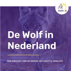 De Wolf in Nederland