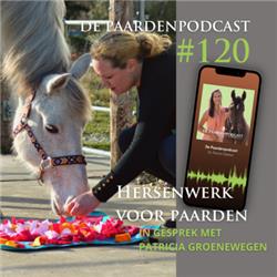 #120 Hersenwerk voor paarden - Patricia Groenewegen