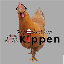 De Kippen Podcast