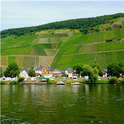 9) WSET level 3 – Elzas, Duitsland, Oostenrijk – Wijnstudio