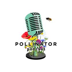 Pollinator Podcast: Mot uit Mokum