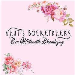 Neut's Boeketreeks | Hoofdstuk 2, Reinier