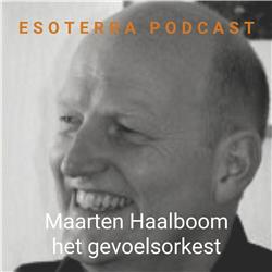 S03E05: Maarten Haalboom, het gevoelsorkest