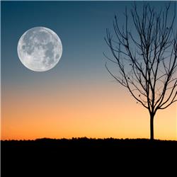 103. Volle maan meditatie november 2023: landen in je lichaam