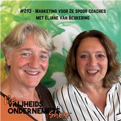 293. Marketing voor 2e spoor coaches - met Eliane van Beukering