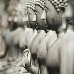 Seul Bouddha connaît Bouddha / Enkel Boeddha kent Boeddha