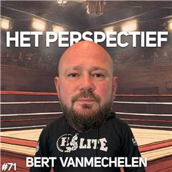 Het Perspectief van Bert Vanmechelen