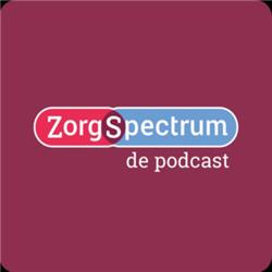 Topcare podcast 2 met David Engelhard- Over het ontstaan van Topcare, Topcare scholing en de proefvisitatie