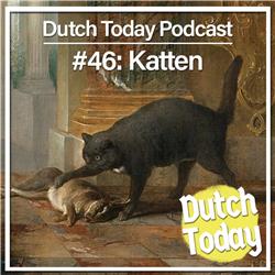 Dutch Today Podcast #46: Katten