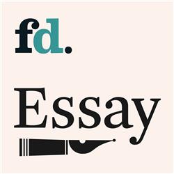 FD Essay: Zomerselectie