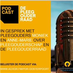 Podcast Pleegouderraad Oosterpoort - Week van de Pleegzorg 2020