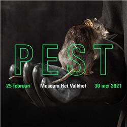 De Pest - De Podcast #2 'De zwarte dood, pestdokters en snavelmaskers'