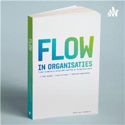 Flow in organisaties 