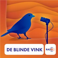 Bijna gemeenteraadsverkiezingen; Henk de Blij vertelt hoe je slim kunt stemmen als je blind of slechtziend bent