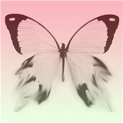 Aflevering 14 - Butterfly Effect