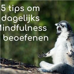 #37 Sergio's 5 tips om dagelijks Mindfulness / Aandachttraining te beoefenen