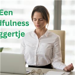 #38 Een mindfulness vluggertje (7' meditatie)