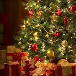 Wat ligt er onder jouw kerstboom?
