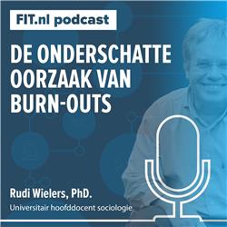 #199: De onderschatte oorzaak van burn-outs - Arbeidssocioloog Rudi Wielers