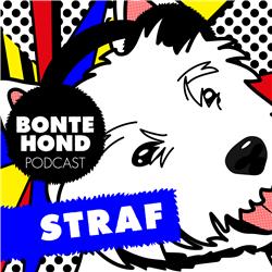 9. De Puppy Podcast van BonteHond - Straf