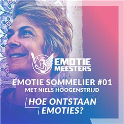 Emotie Sommelier #1 Niels Hoogenstrijd: Hoe ontstaan emoties?