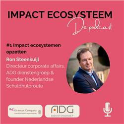 Impact ecosystemen opzetten - Met Ron Steenkuijl