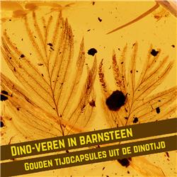 S3E3: Dino-veren in barnsteen: gouden tijdcapsules uit de dinotijd