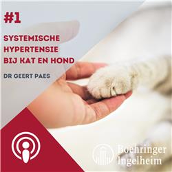 E1: Systemische hypertensie bij kat & hond 1