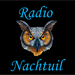 Radio Nachtuil